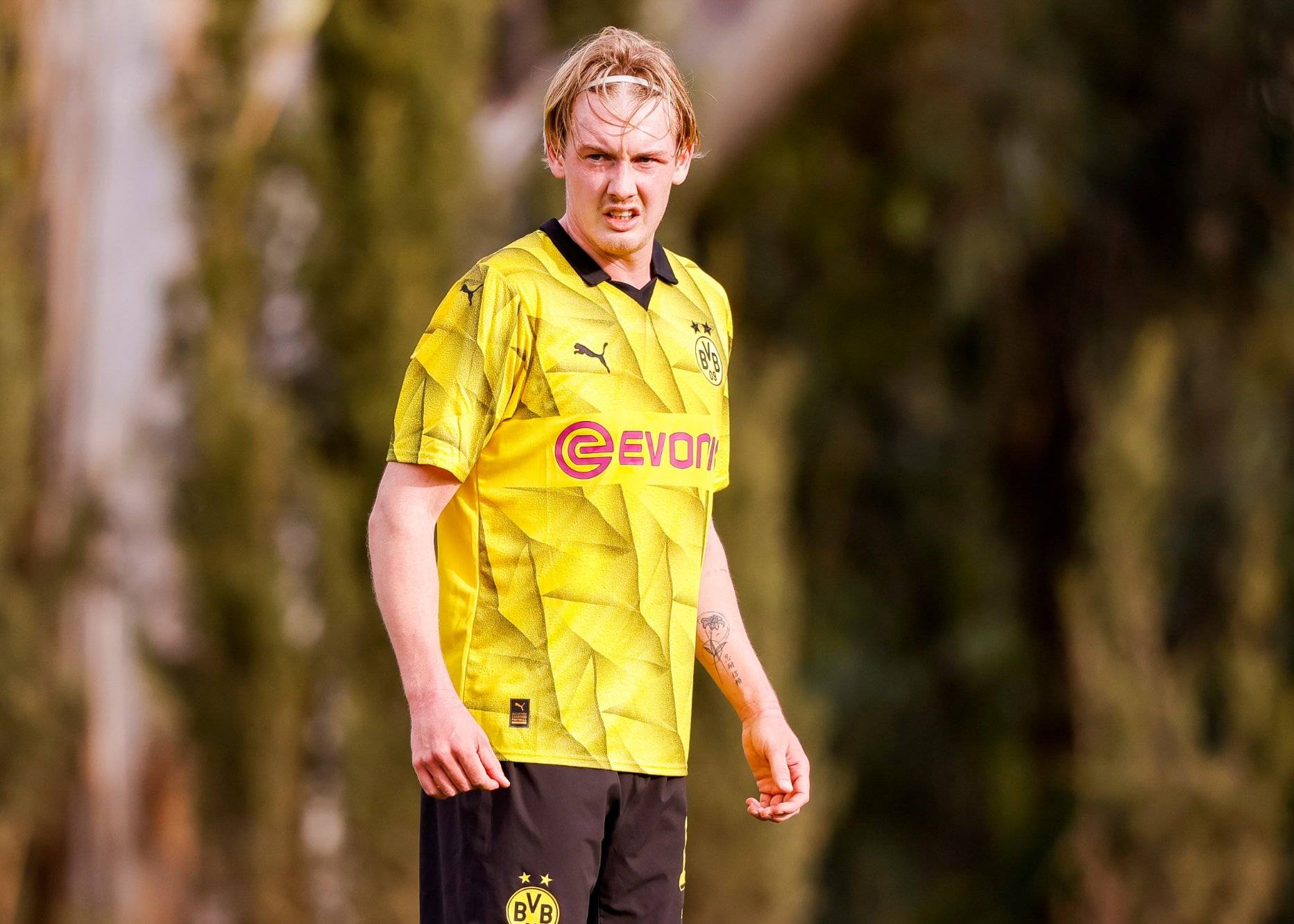 关于勒沃库森比赛后球迷情绪高涨的信息