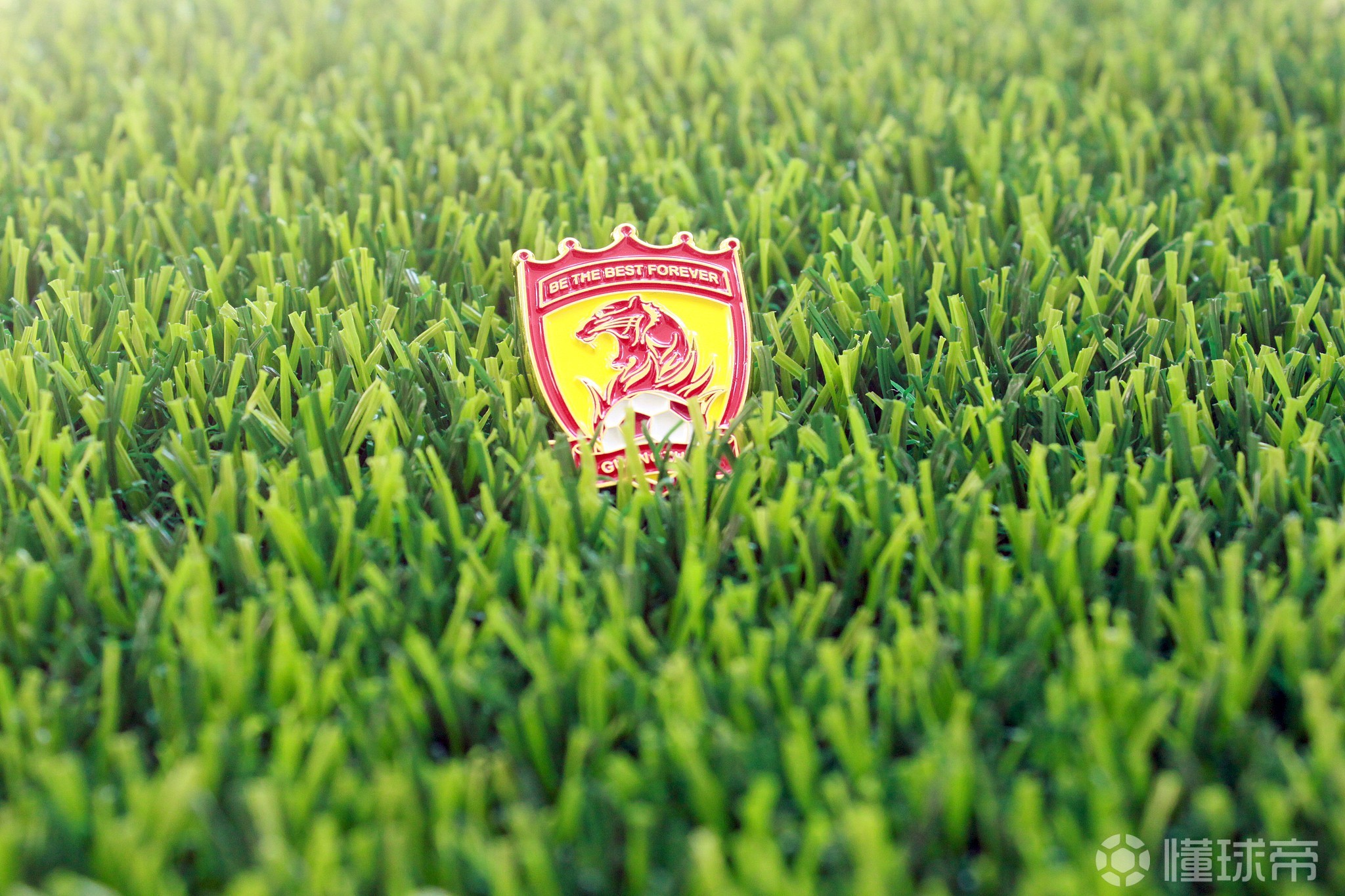 包含天津天海主场不敌广州恒大，目前仍无胜绩的词条