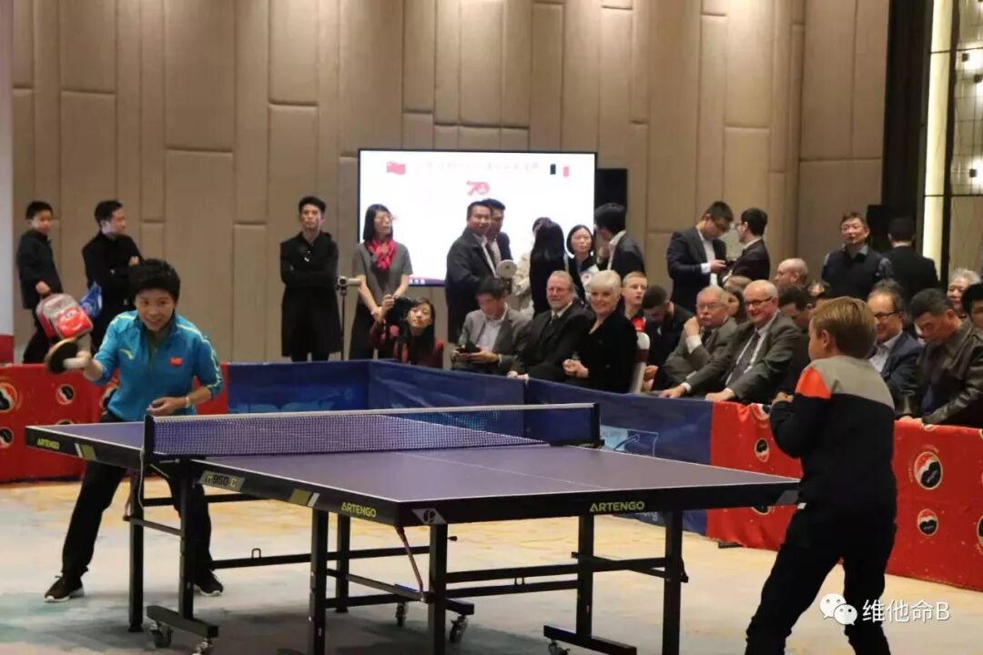 比利时队再次包揽乒乓球比赛