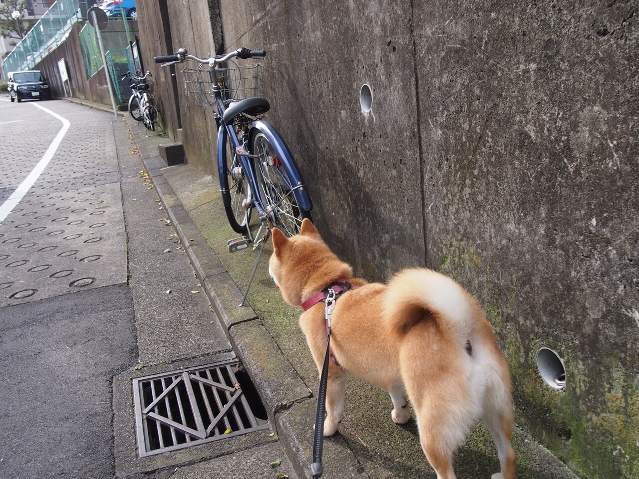 阿劳霍，擎天巨柱！利物浦与曼城的巅峰对决，他让防线永不掉线
