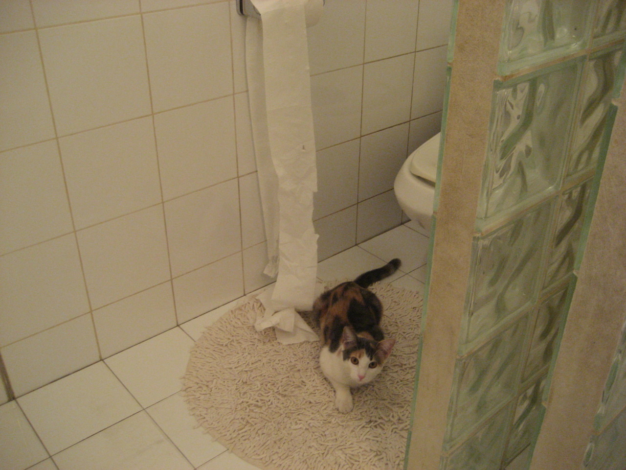 毕尔巴鄂的钢铁回响，当奥利维耶在焦点战场劈开波兰