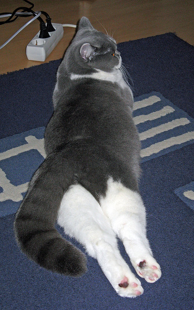 奥运周期启示录，看AC米兰如何在末节风暴中带走皇马