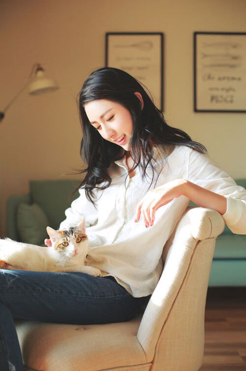 国王与绿军的符号博弈,当篮球叙事跨越太平洋