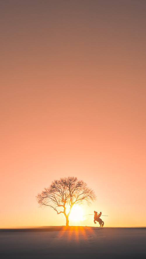 从莱茵河畔到天山脚下,德甲争冠战与新疆队的东西对话