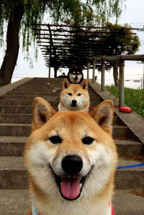 险胜亚特兰大！伤停补时上演惊天逆转，斯通斯绝杀成关键先生