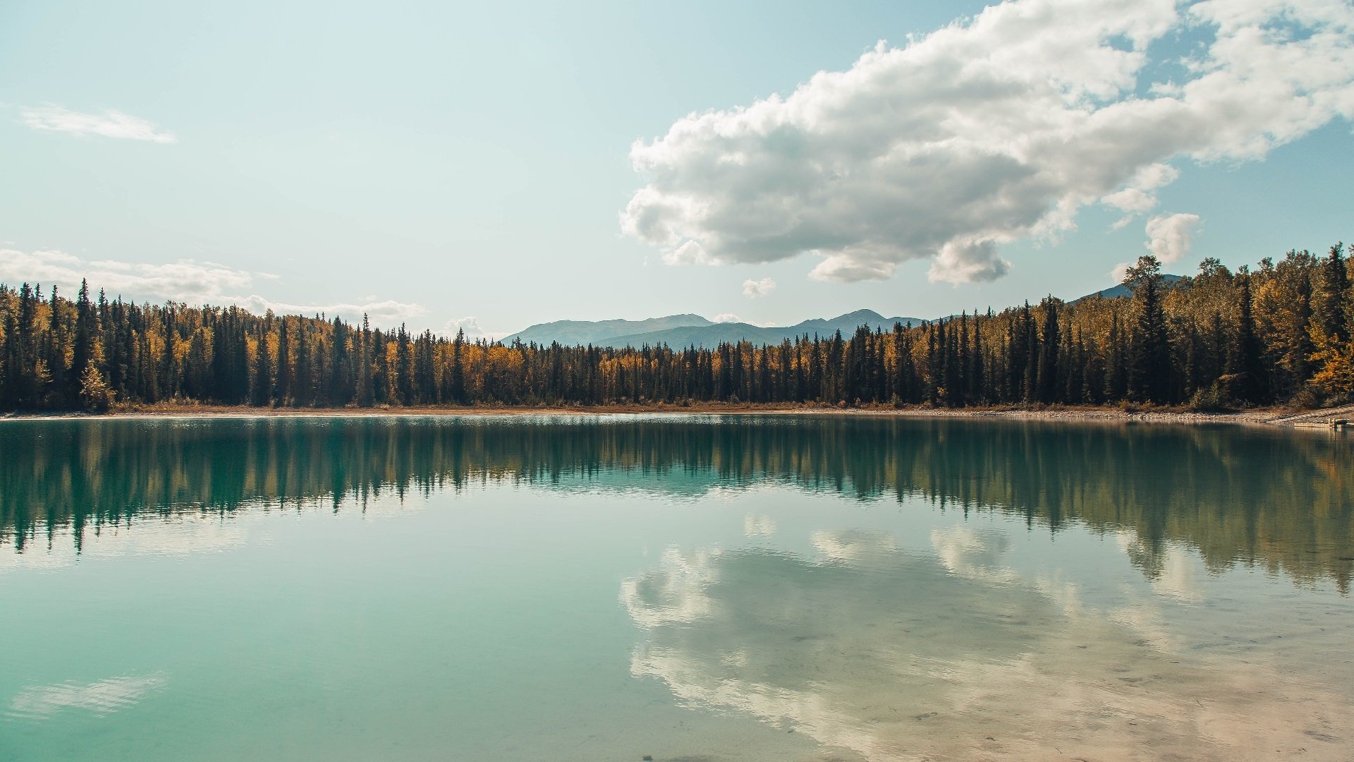 奥运之门在此夜关闭,当无解成为阿劳霍命中注定的谶语