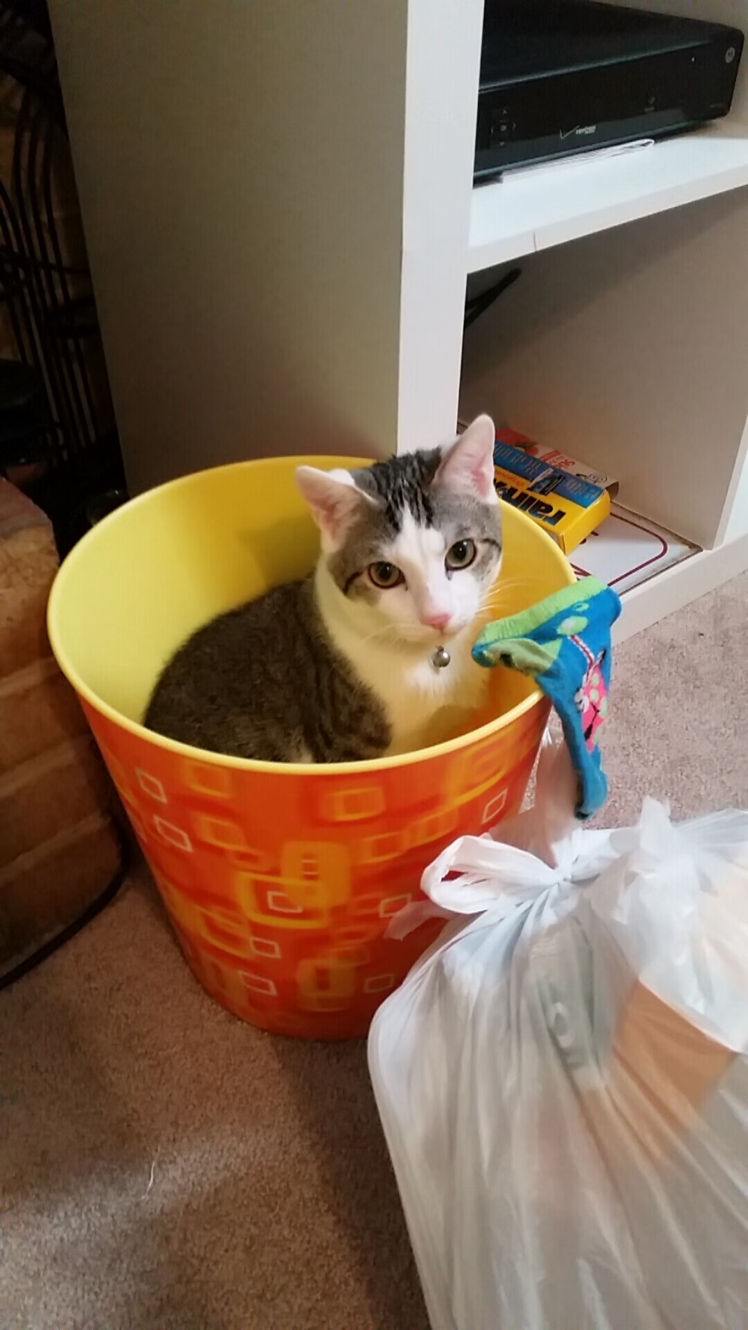 文班亚马冠军级表现闪耀,深圳队与太阳队跨国对决激战告局