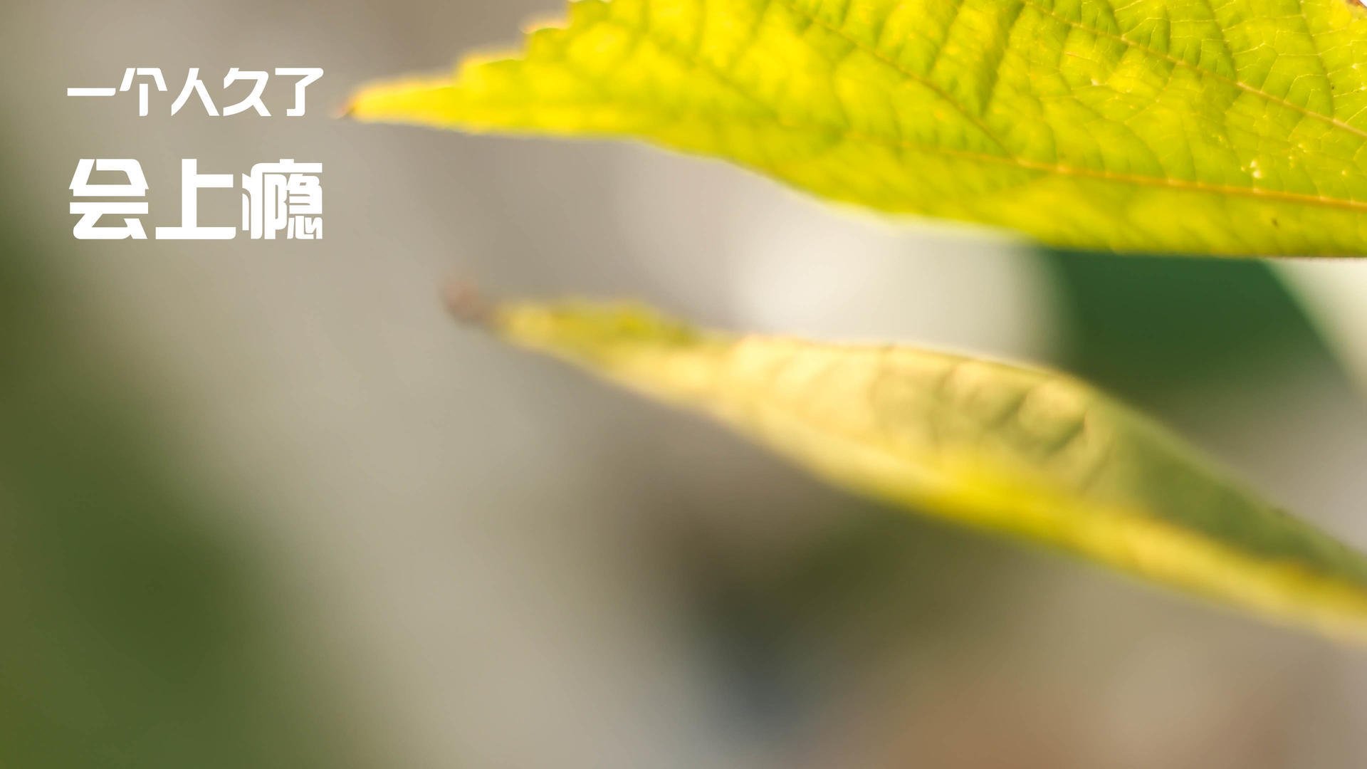 上海队爆冷掘金之后,塔图姆为何说这才是未来?