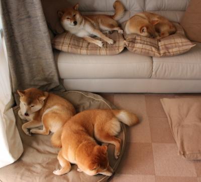 末节15分统治攻防!米切尔率热火三巨头合砍72分,奇才防线遭彻底肢解