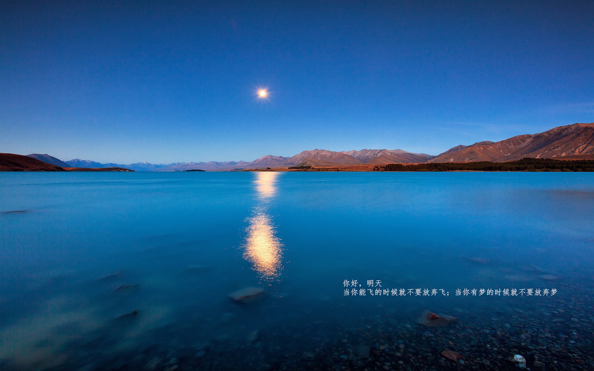 从双膝跪地到仰天长啸,坎特一肩扛起土耳其惊天翻盘