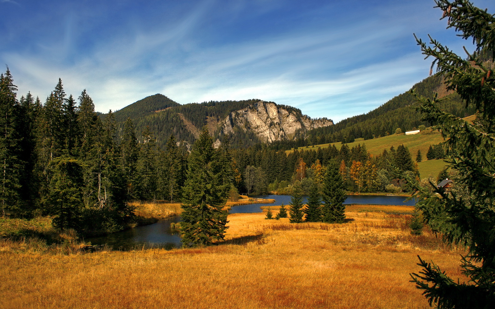 开云体育平台APP-赛场悲喜剧，南非战术纪律击碎韩国幻想，金玟哉的孤独救赎